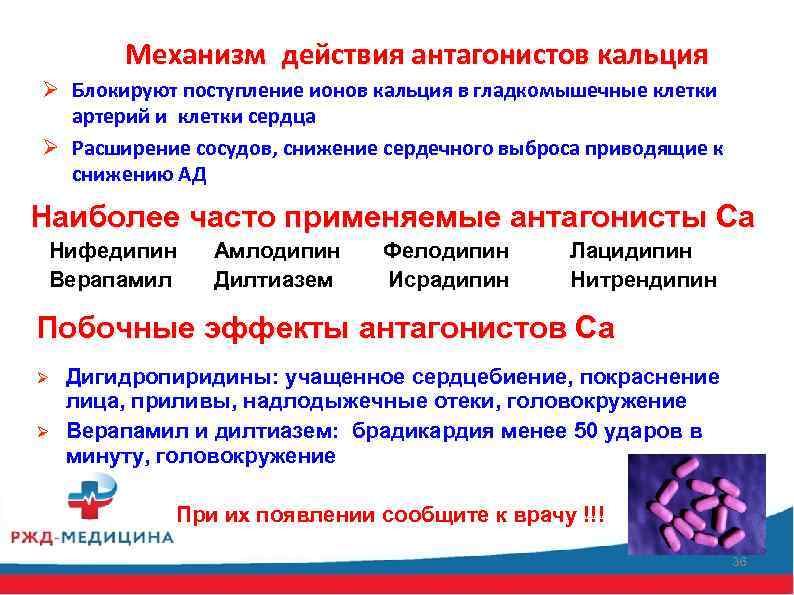 Механизм действия антагонистов кальция Ø Блокируют поступление ионов кальция в гладкомышечные клетки артерий и