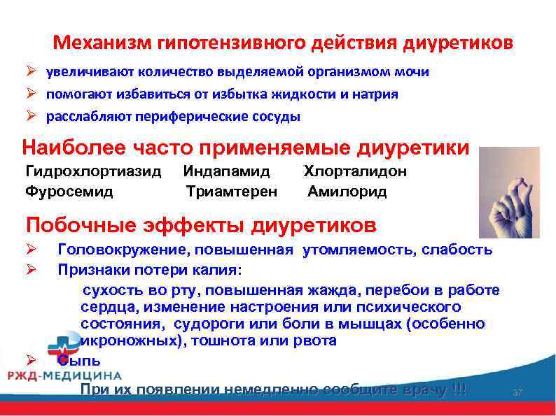 Механизм гипотензивного действия диуретиков Ø увеличивают количество выделяемой организмом мочи Ø помогают избавиться от