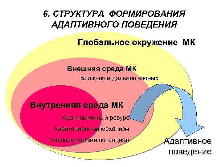 6. СТРУКТУРА ФОРМИРОВАНИЯ АДАПТИВНОГО ПОВЕДЕНИЯ Глобальное окружение МК Внешняя среда МК Ближняя и дальняя