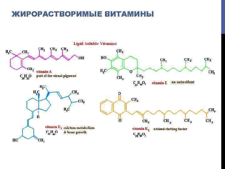 ЖИРОРАСТВОРИМЫЕ ВИТАМИНЫ 