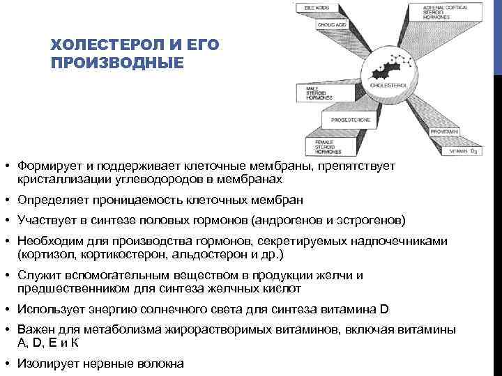 ХОЛЕСТЕРОЛ И ЕГО ПРОИЗВОДНЫЕ • Формирует и поддерживает клеточные мембраны, препятствует кристаллизации углеводородов в