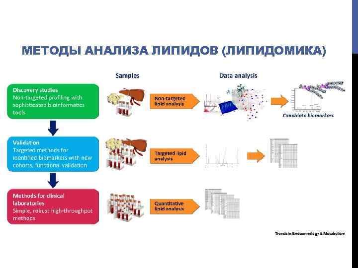 МЕТОДЫ АНАЛИЗА ЛИПИДОВ (ЛИПИДОМИКА) 