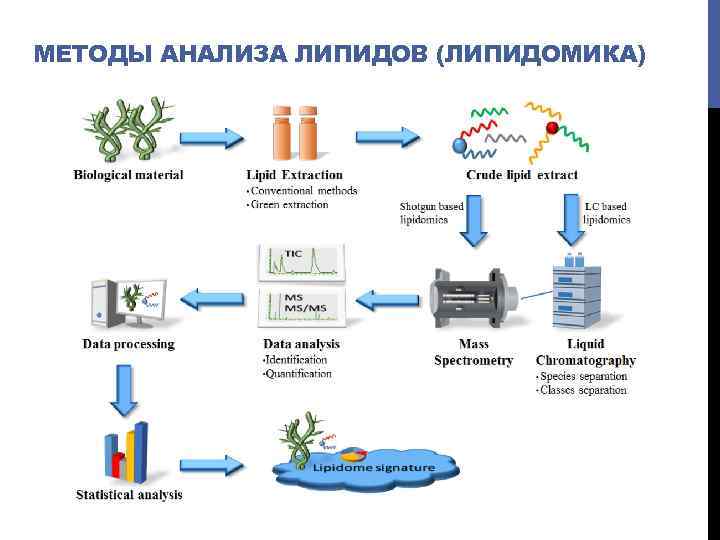 МЕТОДЫ АНАЛИЗА ЛИПИДОВ (ЛИПИДОМИКА) 