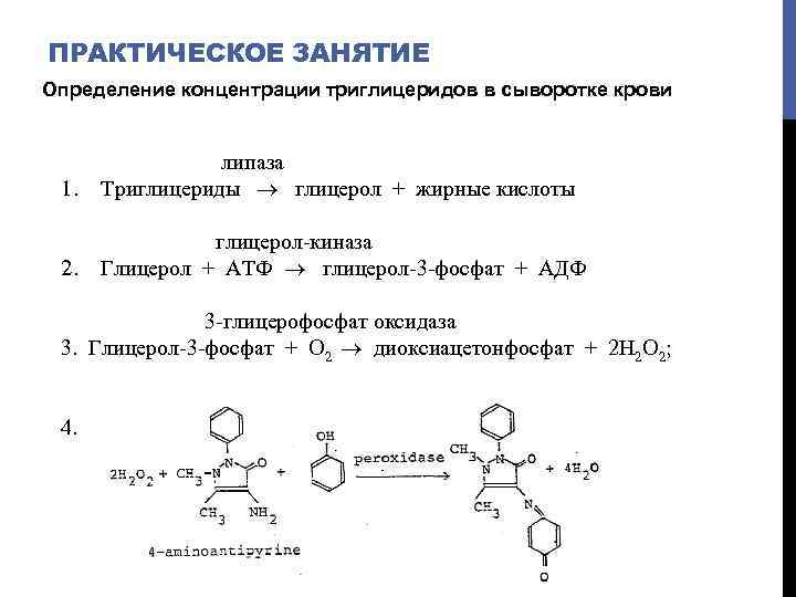 ПРАКТИЧЕСКОЕ ЗАНЯТИЕ Определение концентрации триглицеридов в сыворотке крови 1. липаза Триглицериды глицерол + жирные