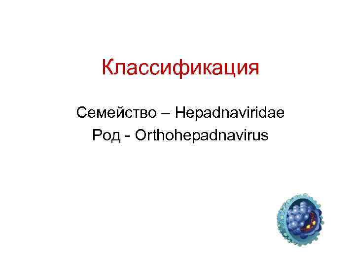 Классификация Семейство – Hepadnaviridae Род - Orthohepadnavirus 