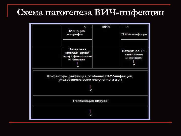 Вич инфекция патогенез схема