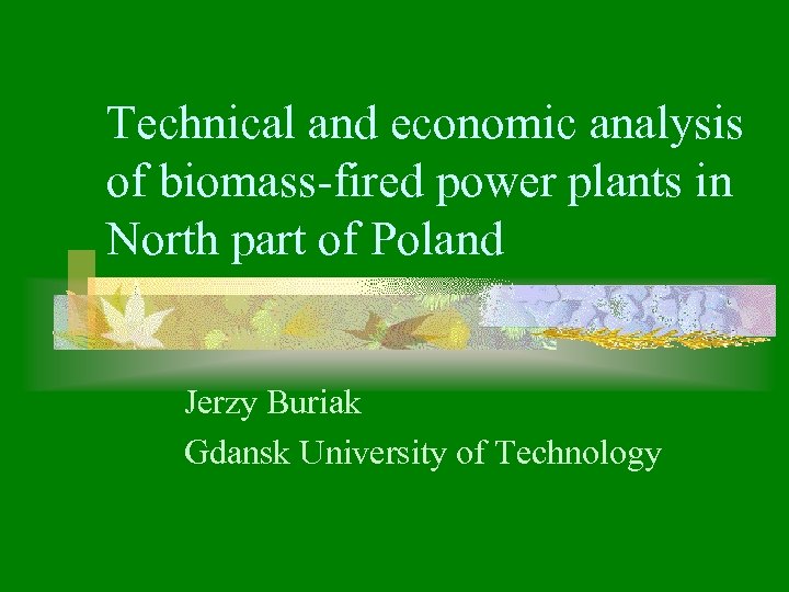 Technical and economic analysis of biomass-fired power plants in North part of Poland Jerzy