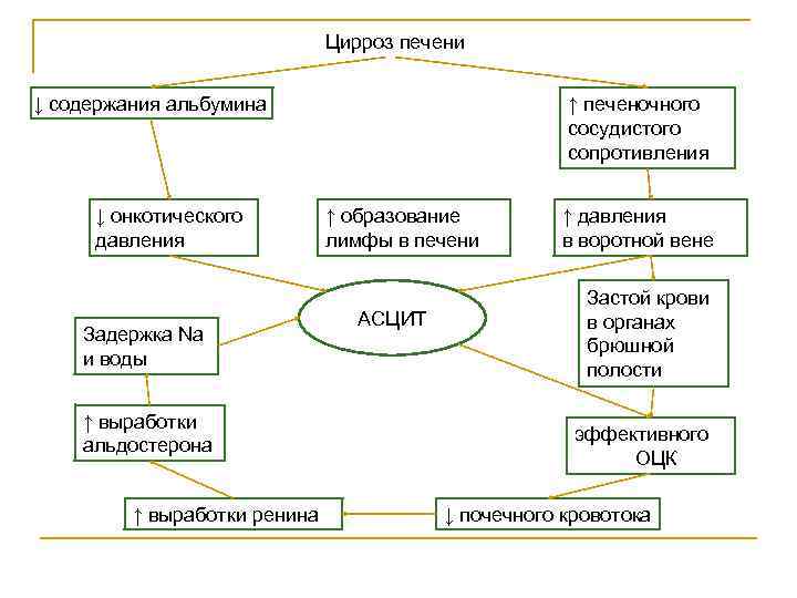 Цирроз печени ↓ содержания альбумина ↓ онкотического давления Задержка Na и воды ↑ выработки