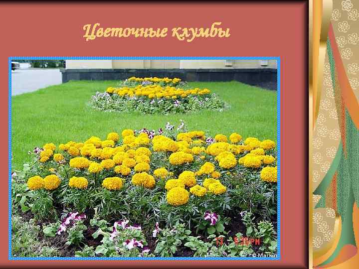 Цветочные клумбы 