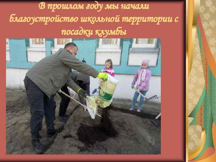 В прошлом году мы начали благоустройство школьной территории с посадки клумбы 