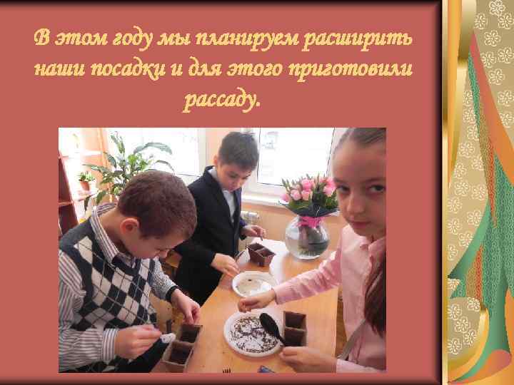 В этом году мы планируем расширить наши посадки и для этого приготовили рассаду. 