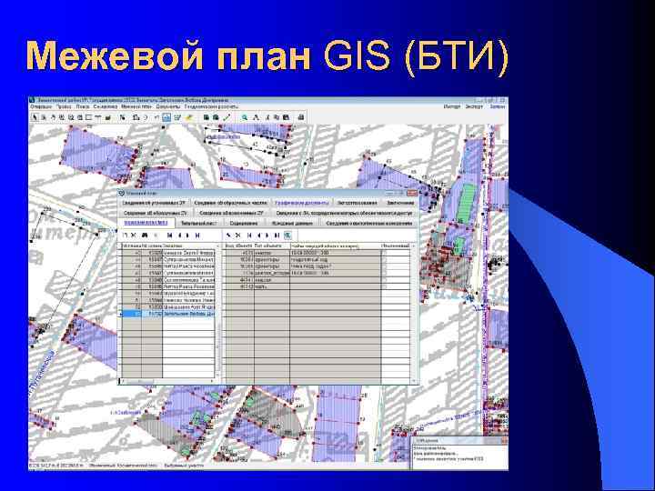 Межевой план GIS (БТИ) 