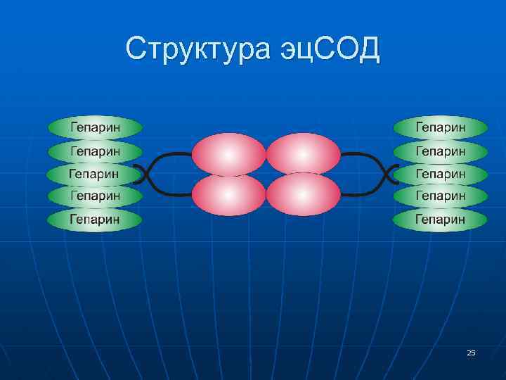 Структура эц. СОД 25 