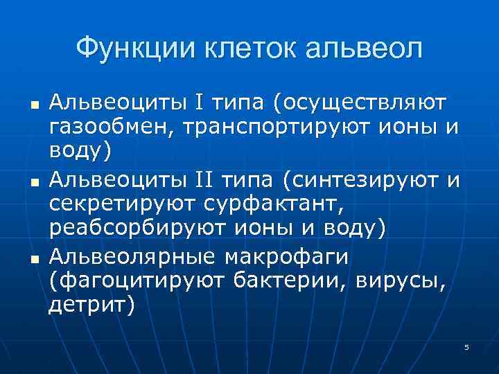 Функции клеток альвеол n n n Альвеоциты I типа (осуществляют газообмен, транспортируют ионы и