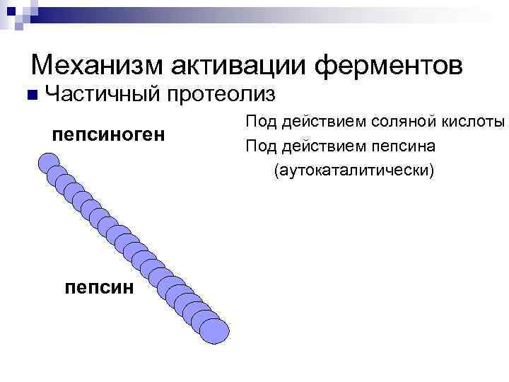 Схема активации протеолитических ферментов поджелудочной железы