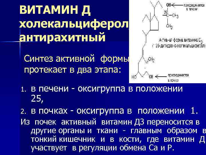 ВИТАМИН Д холекальциферол, антирахитный Синтез активной формы протекает в два этапа: 1. 2. в