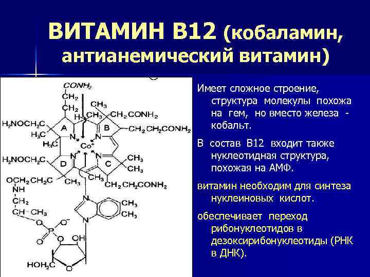 Витамин в 12 презентация