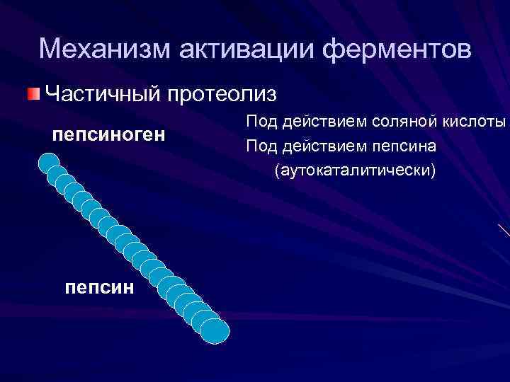 Механизм активации ферментов Частичный протеолиз пепсиноген пепсин Под действием соляной кислоты Под действием пепсина