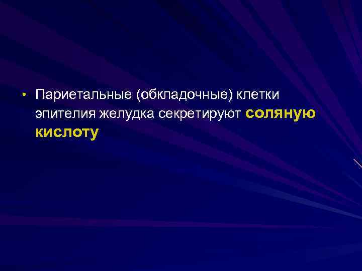  • Париетальные (обкладочные) клетки эпителия желудка секретируют соляную кислоту 