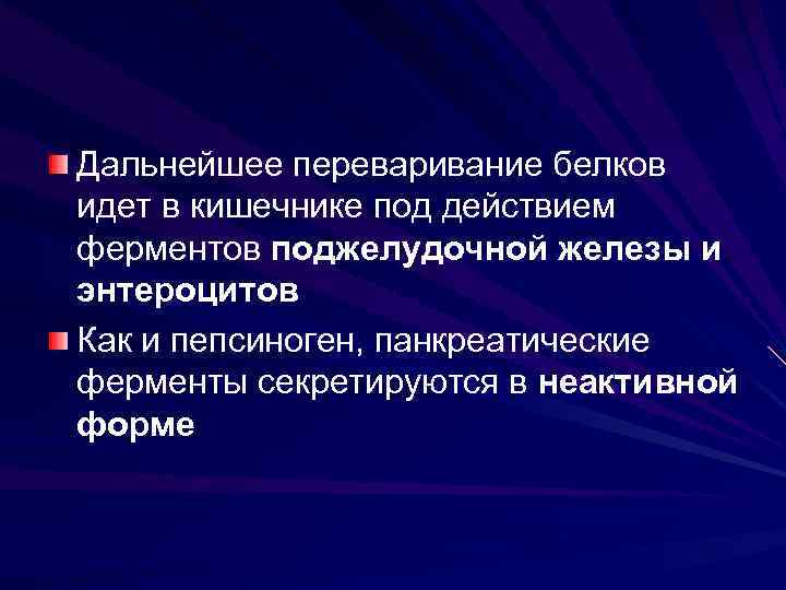 Дальнейшее переваривание белков идет в кишечнике под действием ферментов поджелудочной железы и энтероцитов Как