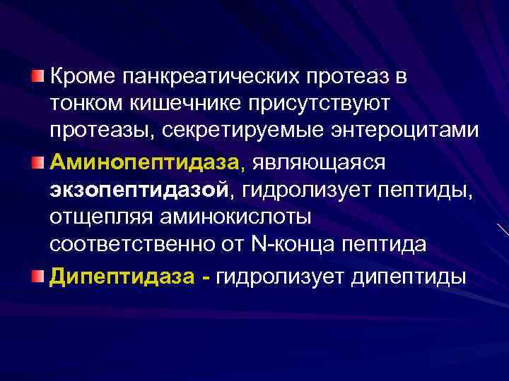 Кроме панкреатических протеаз в тонком кишечнике присутствуют протеазы, секретируемые энтероцитами Аминопептидаза, являющаяся экзопептидазой, гидролизует