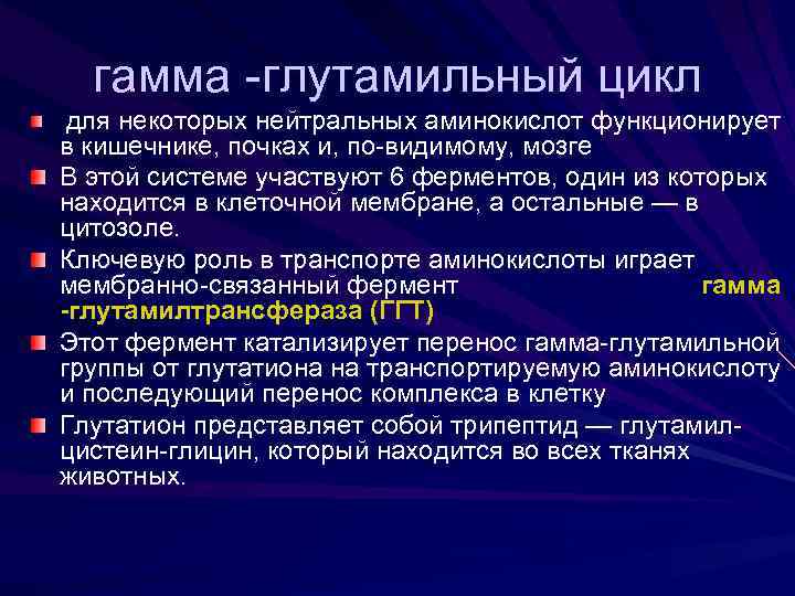 гамма -глутамильный цикл для некоторых нейтральных аминокислот функционирует в кишечнике, почках и, по-видимому, мозге