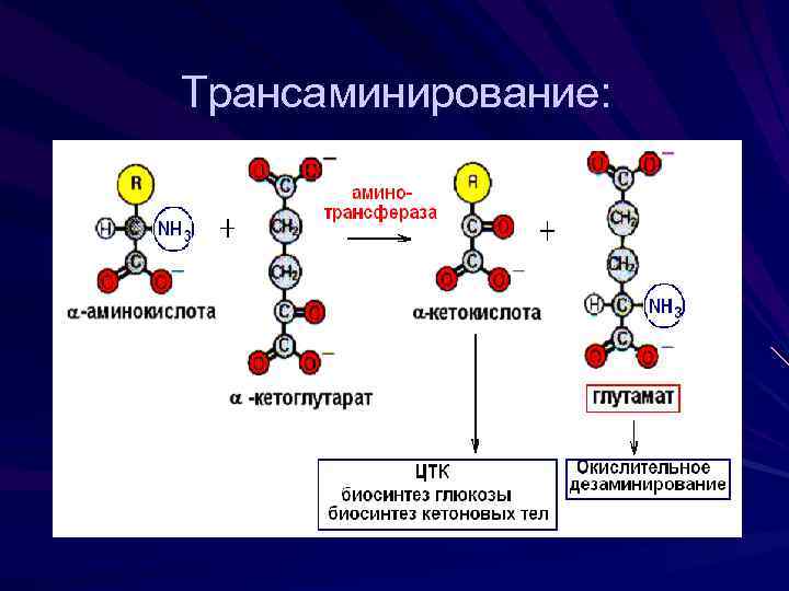 Трансаминирование: 