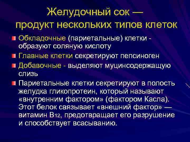 Желудочный сок — продукт нескольких типов клеток Обкладочные (париетальные) клетки образуют соляную кислоту Главные