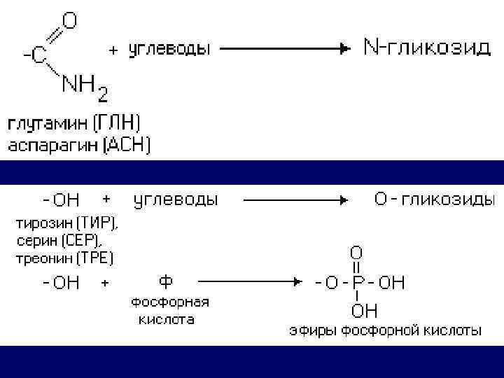 Биохимия это