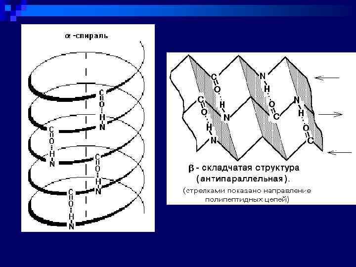 Перенос информации о первичной структуре белка