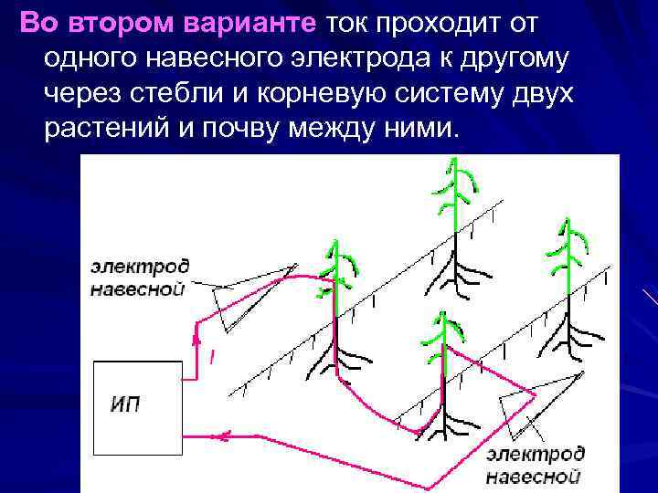 Во втором варианте ток проходит от одного навесного электрода к другому через стебли и