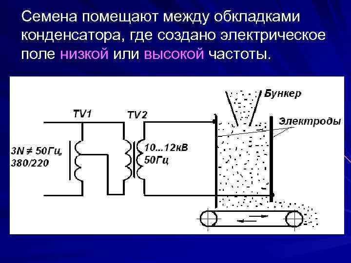 Семена помещают между обкладками конденсатора, где создано электрическое поле низкой или высокой частоты. 