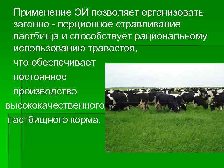 Применение ЭИ позволяет организовать загонно - порционное стравливание пастбища и способствует рациональному использованию травостоя,