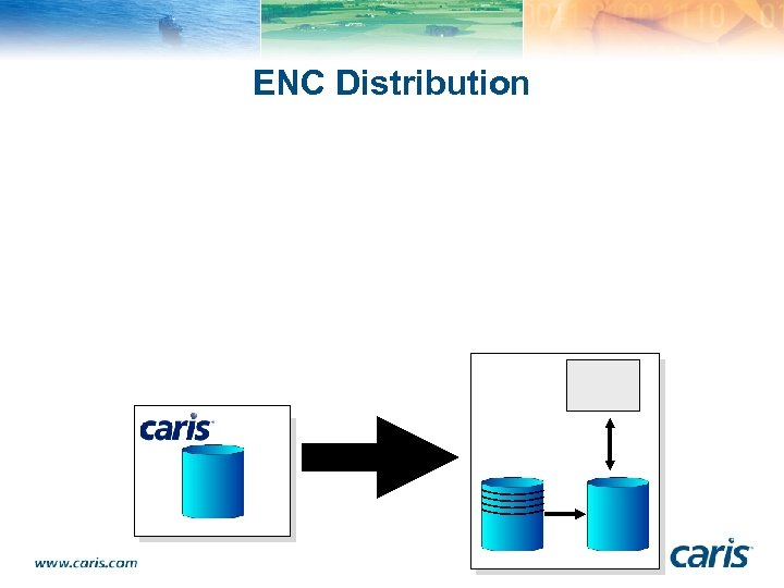 ENC Distribution 