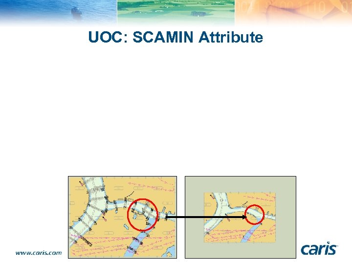 UOC: SCAMIN Attribute 