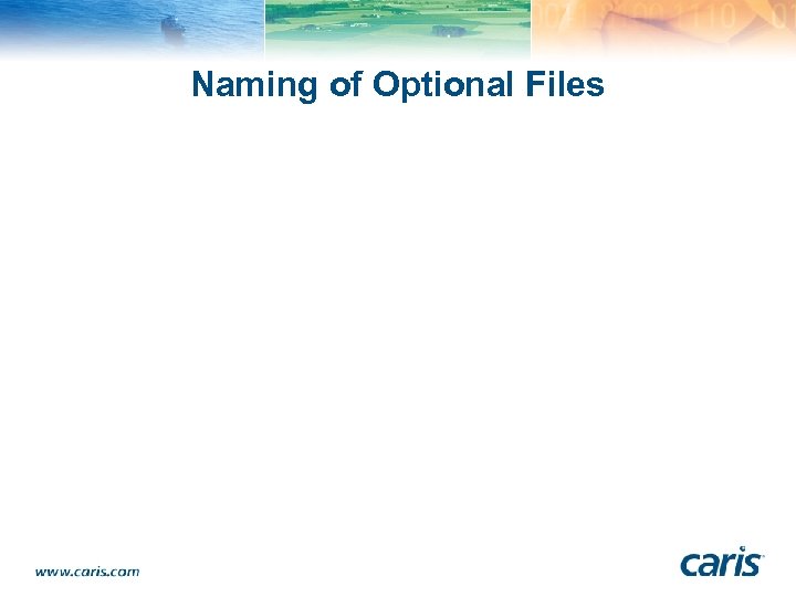 Naming of Optional Files 