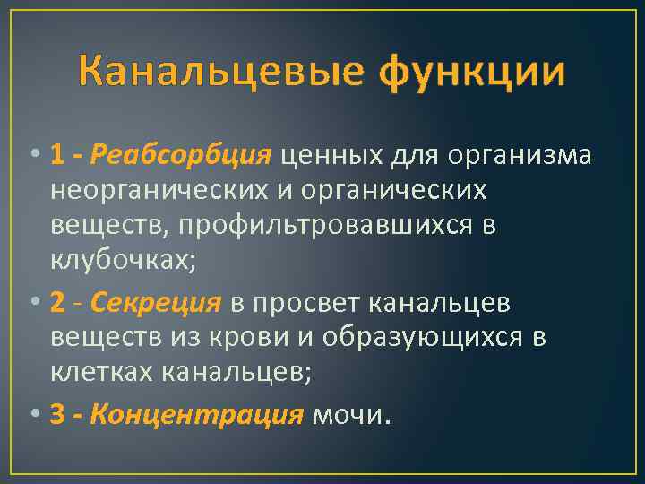 Канальцевые функции • 1 - Реабсорбция ценных для организма неорганических и органических веществ, профильтровавшихся