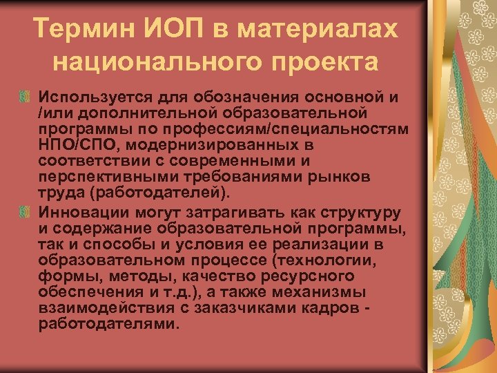 Термин ИОП в материалах национального проекта Используется для обозначения основной и /или дополнительной образовательной