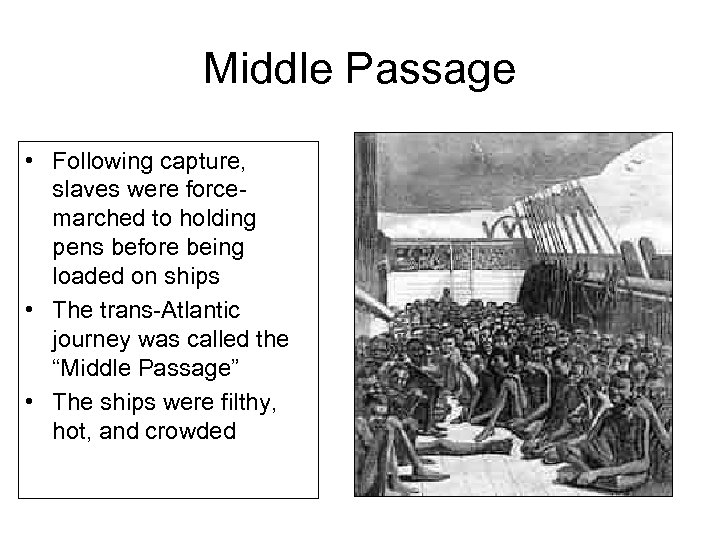 Middle Passage • Following capture, slaves were forcemarched to holding pens before being loaded