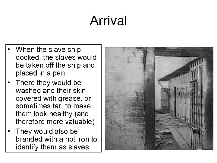 Arrival • When the slave ship docked, the slaves would be taken off the