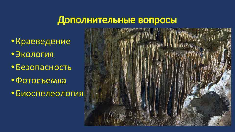 Краеведческий вопросы. Биоспелеология. Биоспелеология это наука о. Футболка АСУ И спелеолагерь.