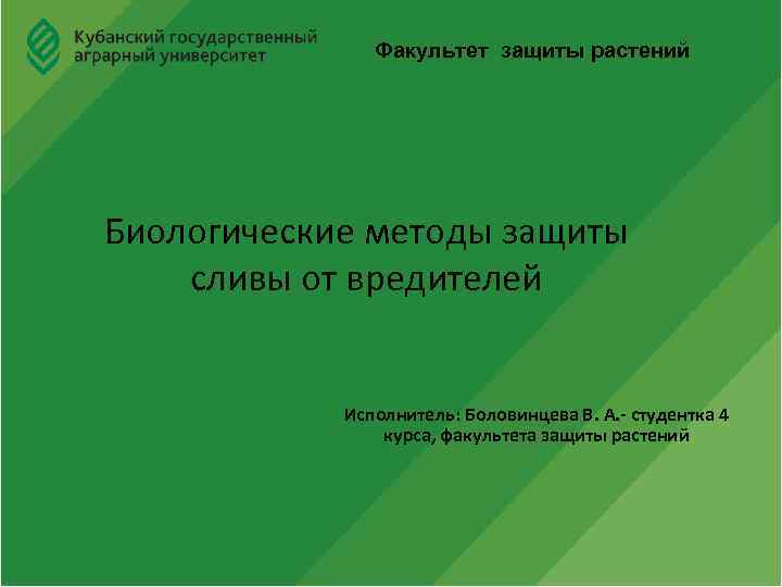 Факультет защиты растений Биологические методы защиты сливы от вредителей Исполнитель: Боловинцева В. А. -