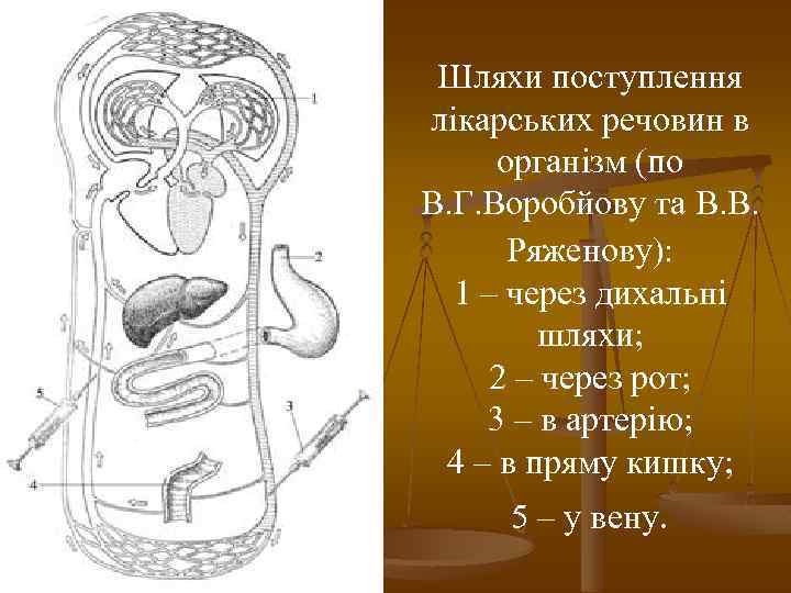 Шляхи поступлення лікарських речовин в організм (по В. Г. Воробйову та В. В. Ряженову):