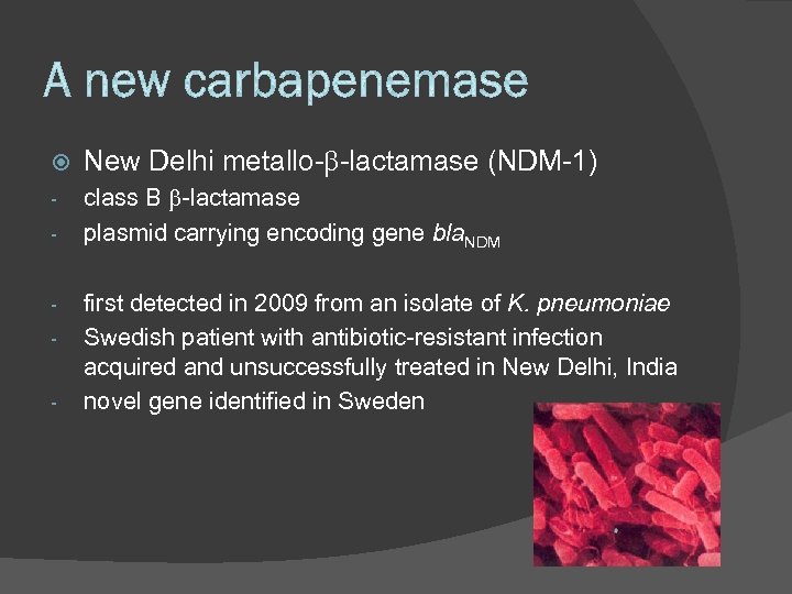  New Delhi metallo-b-lactamase (NDM-1) - class B b-lactamase plasmid carrying encoding gene bla.