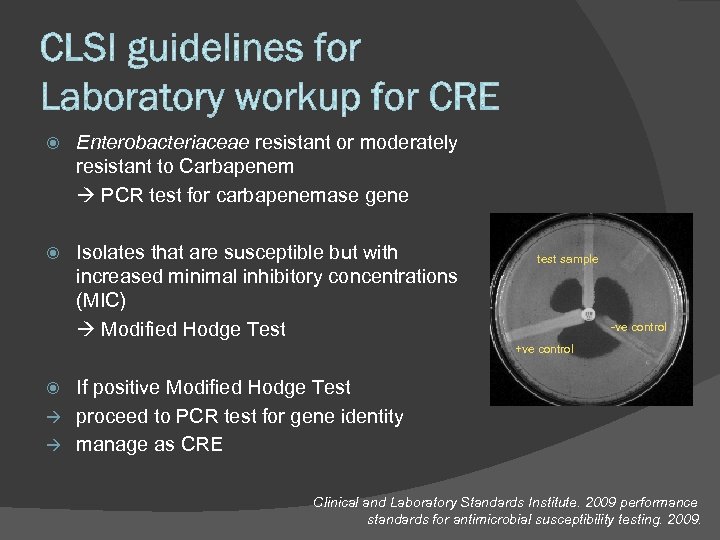  Enterobacteriaceae resistant or moderately resistant to Carbapenem PCR test for carbapenemase gene Isolates