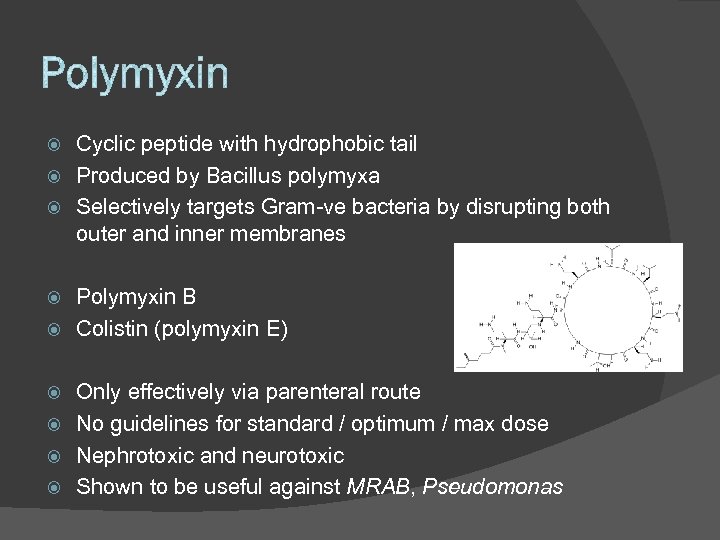 Cyclic peptide with hydrophobic tail Produced by Bacillus polymyxa Selectively targets Gram-ve bacteria by