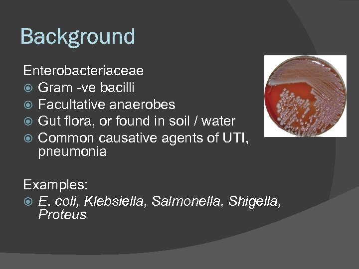Enterobacteriaceae Gram -ve bacilli Facultative anaerobes Gut flora, or found in soil / water