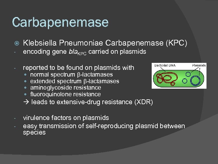 Klebsiella Pneumoniae Carbapenemase (KPC) - encoding gene bla. KPC carried on plasmids -
