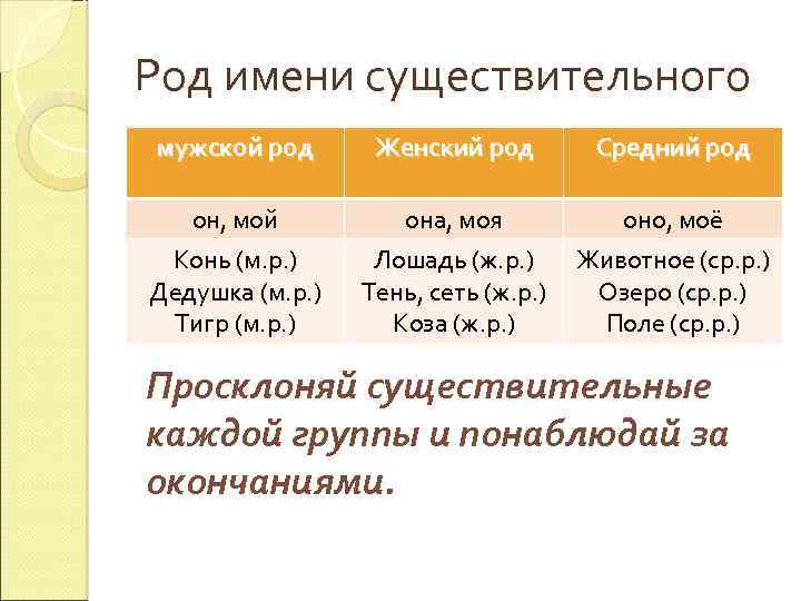 Род имени существительного мужской род Женский род Средний род он, мой Конь (м. р.