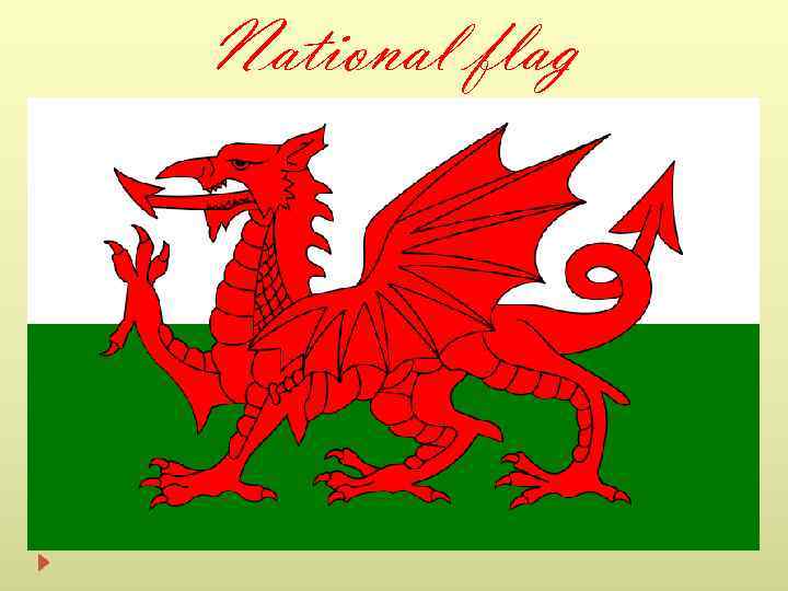 National flag 